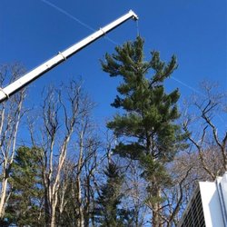 Greater Heights Tree And Land Management