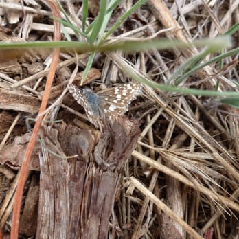 Cosumnes River Preserve - Parks Near Me - Galt, California