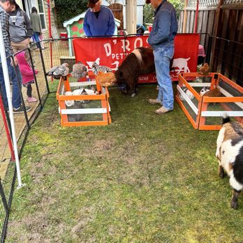 D'Rose Petting Zoo - Petting Zoos Near Me - Gilroy, California