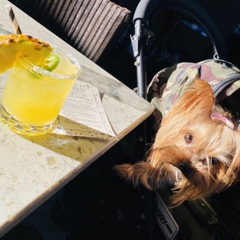 GRANVILLE - Spicy Pineapple Margarita - New American Near Me - Studio City, California