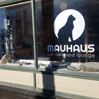 Mauhaus - Themed Cafes Near Me - Maplewood, Missouri
