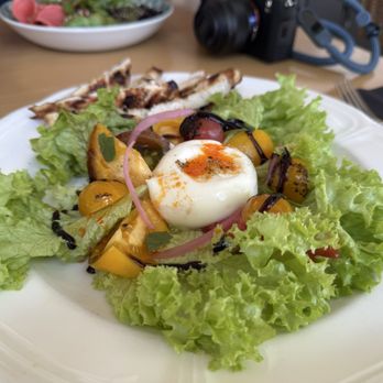 Honey Salt - Burrata & Heirloom Tomatoes (GF) (V) - Canadian (New) Near Me - Vancouver, British Columbia