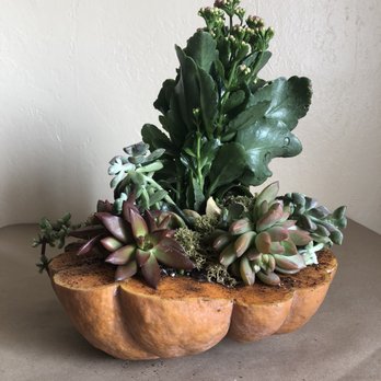 Harmony In Bloom - Pumpkin succulent centerpiece - Floral Designers Near Me