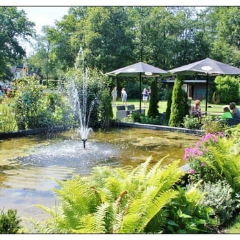 Veluws Eethuis Wissel - Vijfer - Barbeque Near Me - Epe, GE