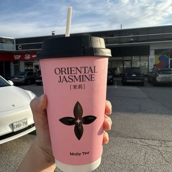 Molly Tea - Premium Jasmine milk tea - Bubble Tea Near Me - Markham, Ontario