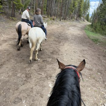 Breckenridge Stables - Horse Boarding Near Me