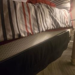 The Ashley House Inn & Suites - Zoomed out pictures of bed bugs