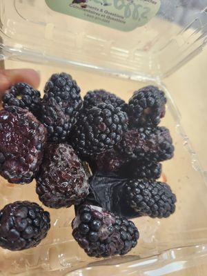 Flatbush Food Co-op by null