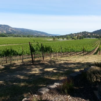 Rivino Winery - Wine Tasting Room Near Me - Ukiah, California Rivino Winery - Wine Tasting Room Near Me - Ukiah, California