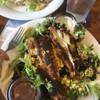 Sunset Grille - Fish Baja salad - Seafood Near Me - Saint Augustine, Florida Sunset Grille - Fish Baja salad - Seafood Near Me - Saint Augustine, Florida