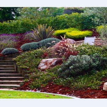 ATO TreeCare - Tree Services Near Me - Lumby, British Columbia ATO TreeCare - Tree Services Near Me - Lumby, British Columbia
