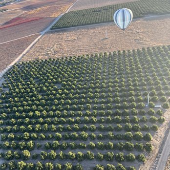 California Dreamin - Hot Air Balloons Near Me - Temecula, California California Dreamin - Hot Air Balloons Near Me - Temecula, California