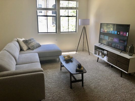 Apartment cleaning - Apartment cleaning in West Palm Apartment cleaning - Apartment cleaning in West Palm