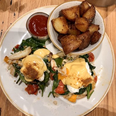 The Fig & The Judge by null