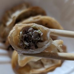 Komeya Cafe - Cross-section of my deep-fried gyoza