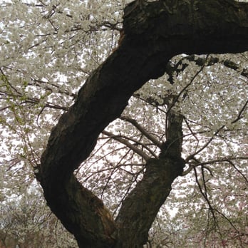 Branch Brook Park - Parks Near Me - Newark, New Jersey