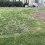 Photo of Best Garden Solutions
