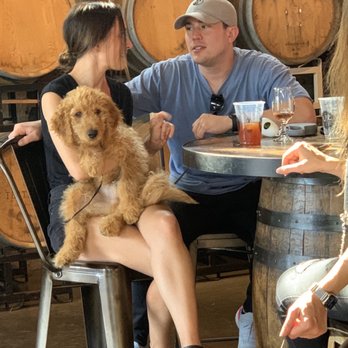 Lynnwood Brewing Concern - Such a cute little pup she is holding! - Breweries Near Me - Raleigh, North Carolina