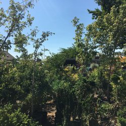 Wild Thyme Nursery - An adventure!