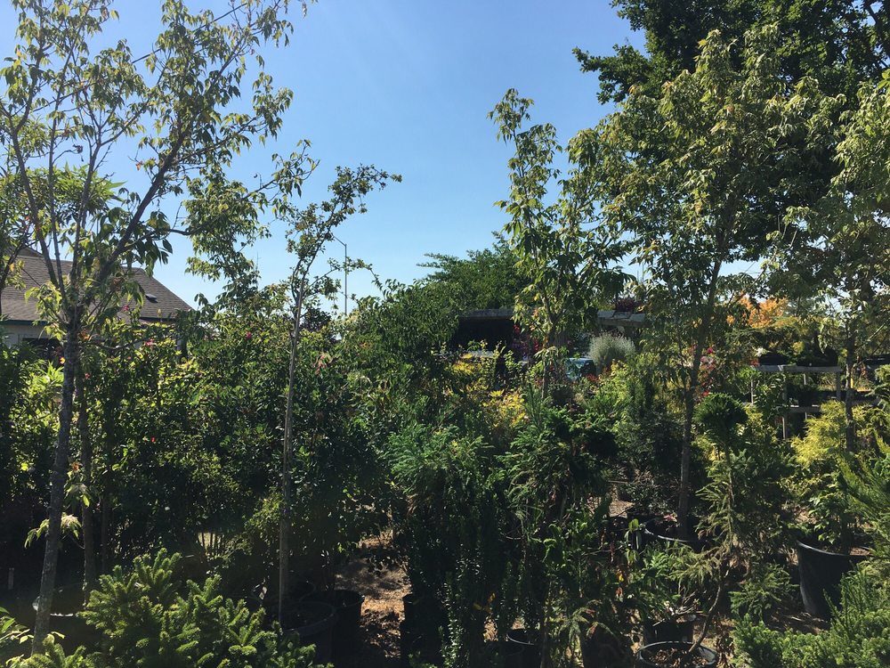 WILD THYME NURSERY Updated June 2024 20 Reviews 4416 S 74th St