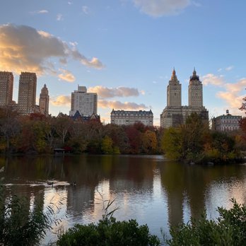 Central Park Conservancy - Pond - Parks Near Me - New York, New York