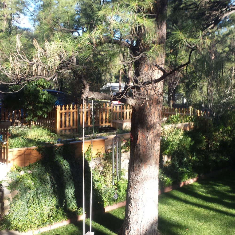 Read's Oak Knoll B&B - View of your private yard from top deck patio where we enjoyed good wine, toasty fire, and amazing conversation - Bed & Breakfast Near Me - Prescott, Arizona Read's Oak Knoll B&B - View of your private yard from top deck patio where we enjoyed good wine, toasty fire, and amazing conversation - Bed & Breakfast Near Me - Prescott, Arizona