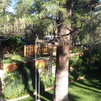 Read's Oak Knoll B&B - View of your private yard from top deck patio where we enjoyed good wine, toasty fire, and amazing conversation - Bed & Breakfast Near Me - Prescott, Arizona