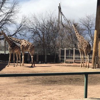Denver Zoo - Zoos Near Me - Denver, Colorado Denver Zoo - Zoos Near Me - Denver, Colorado