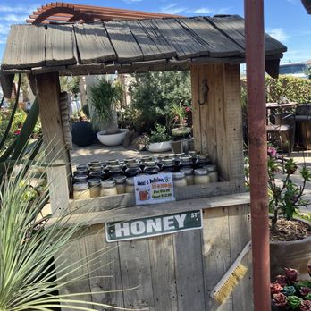 Desert Horizon Nursery - Fresh local honey - Nurseries & Gardening Near Me - Queen Creek, Arizona Desert Horizon Nursery - Fresh local honey - Nurseries & Gardening Near Me - Queen Creek, Arizona