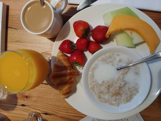 The Fig & The Judge by null