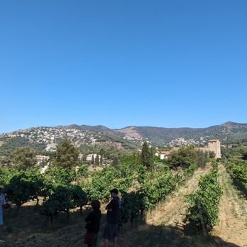 Bouquet D’Alella - Wineries Near Me - Alella, B