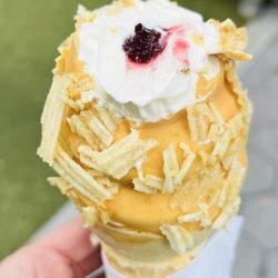 Simons Says Dip This - The "Lunch Box" PB&Raspberry+Chips