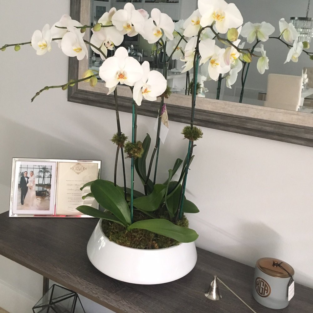 Anniversary Orchids Anniversary Orchids