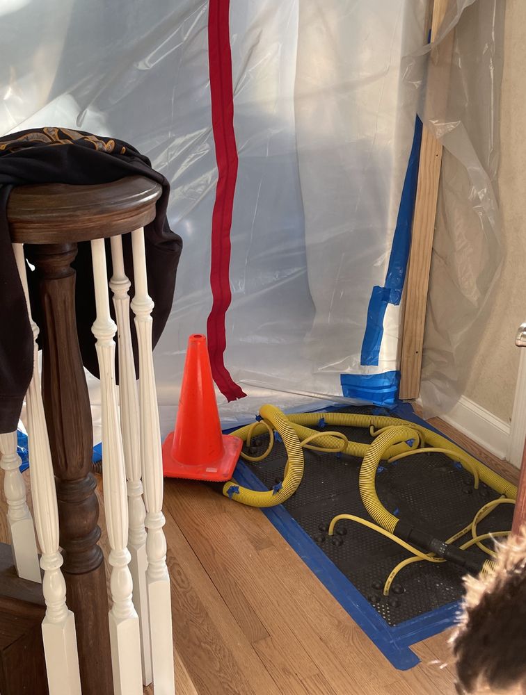 Rapid Mold Services - mold inspector in Burbank, IL