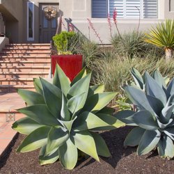 All Seasons Gardening & Landscaping