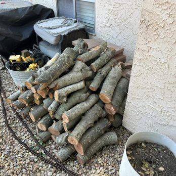 The Treekeeper - Tree Services Near Me The Treekeeper - Tree Services Near Me