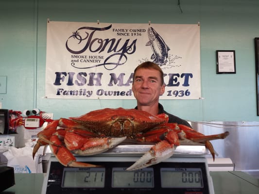 Tony's Fish Market by null