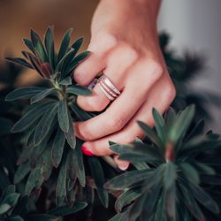 Brilliant Fine + Custom Jewlery