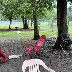Friends of Raising Cane's Camilla City Bark Park