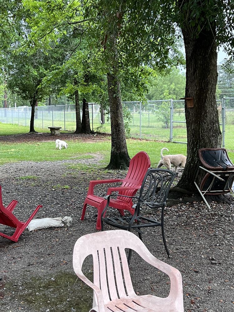 FRIENDS OF RAISING CANE’S CAMILLA CITY BARK PARK Updated August 2024