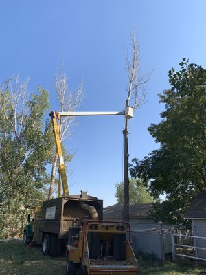 Safe and efficient tree removal - Need a tree removed? Our experts handle tree removals of all sizes, safely and efficiently, protecting your property from potential hazards. Safe and efficient tree removal - Need a tree removed? Our experts handle tree removals of all sizes, safely and efficiently, protecting your property from potential hazards.