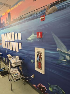 RADY CHILDREN’S HOSPITAL - SAN DIEGO - Updated March 2026 - 144 Photos ...