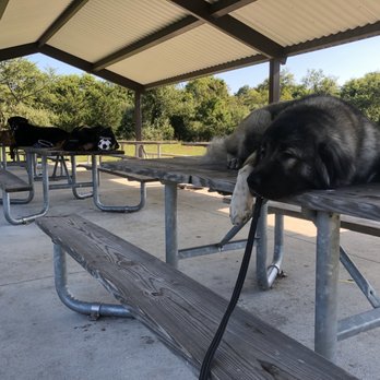 Maximum K9 Service - Off Site Level 2 Obedience in different situations with many new smells and sounds - Pet Training Near Me - Deer Park, New York Maximum K9 Service - Off Site Level 2 Obedience in different situations with many new smells and sounds - Pet Training Near Me - Deer Park, New York