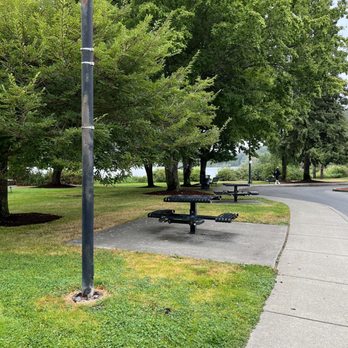 Marathon Park - Picnic tables - Parks Near Me - Olympia, Washington Marathon Park - Picnic tables - Parks Near Me - Olympia, Washington
