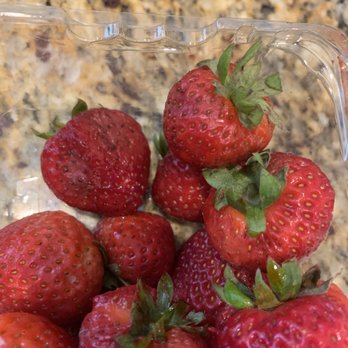 The Fresh Market - Mushy moldy berries all the way through the entire container of organic strawberries - Grocery Near Me - Alexandria, Virginia The Fresh Market - Mushy moldy berries all the way through the entire container of organic strawberries - Grocery Near Me - Alexandria, Virginia
