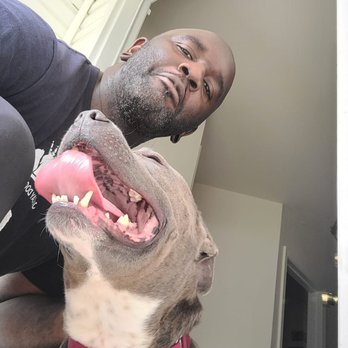 JAY CAY DOG SERVICES - Pet Training Near Me JAY CAY DOG SERVICES - Pet Training Near Me