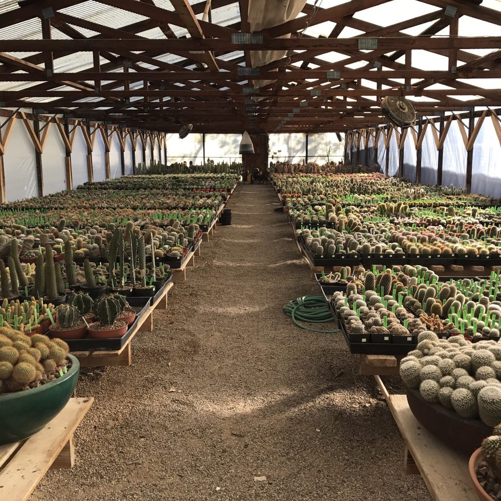 B & B Cactus Farm - Growing tent - Nurseries & Gardening Near Me - Tucson, Arizona B & B Cactus Farm - Growing tent - Nurseries & Gardening Near Me - Tucson, Arizona
