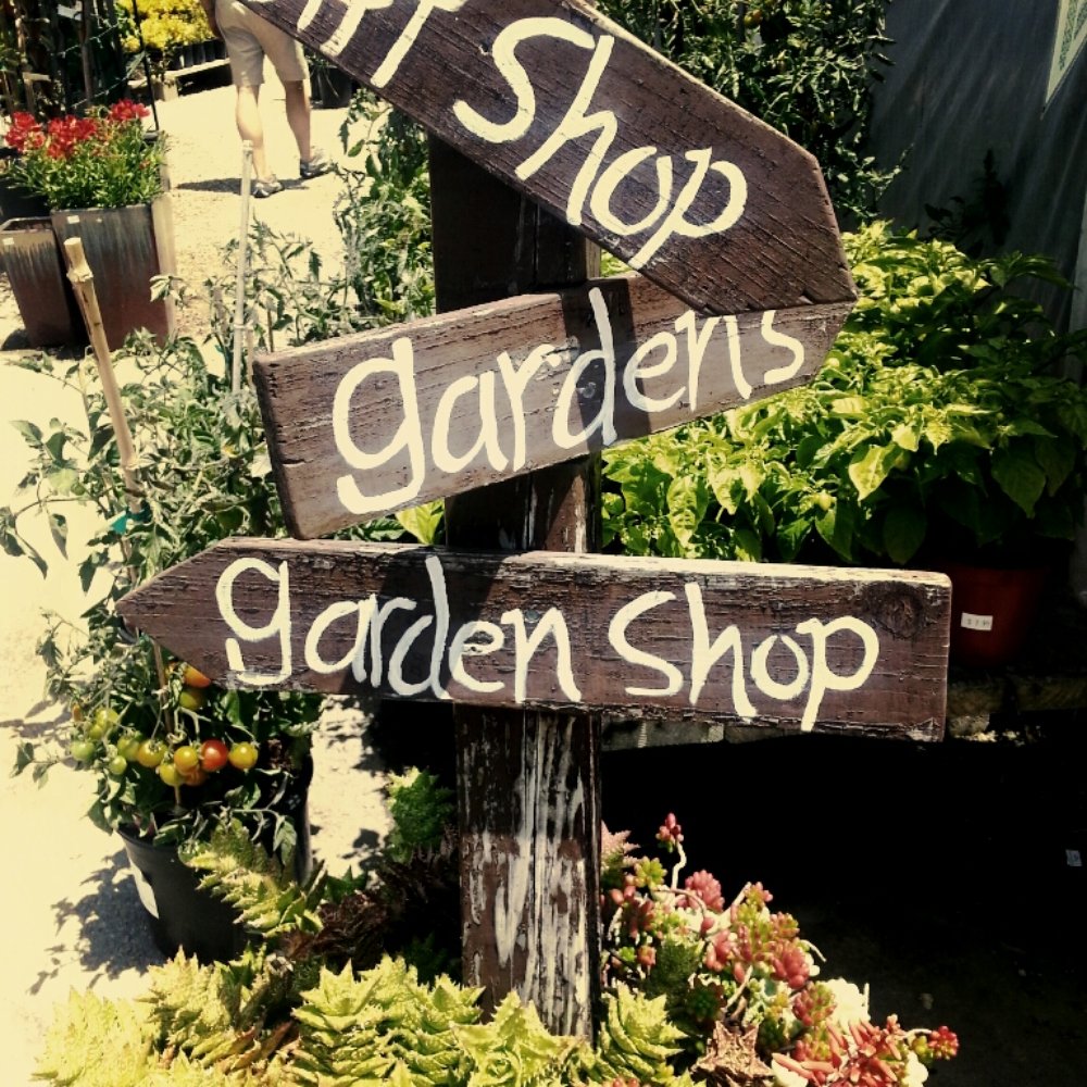 Seaside Gardens - Nurseries & Gardening Near Me - Carpinteria, California Seaside Gardens - Nurseries & Gardening Near Me - Carpinteria, California