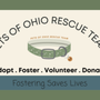 Photo of Pets of Ohio Rescue Team