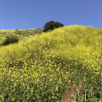 Corbin Canyon Park - Hiking Near Me - Los Angeles, California